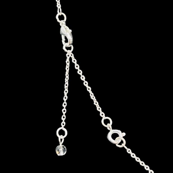 Silver Tone Cable Chain Necklace With Clear Rhinestone Paw Print Pendant (4700) - Picture 6 of 6